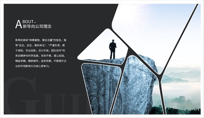 上海新導向品牌策劃 精準定位，驅動國內貿易代理業務新增長